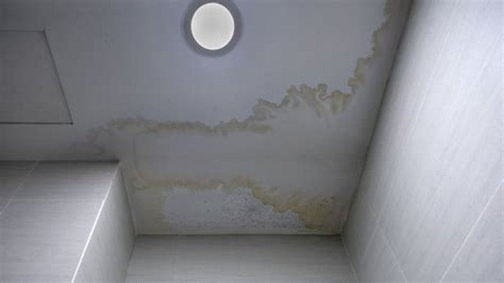 ceiling mold