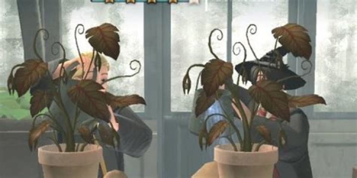harry potter plant